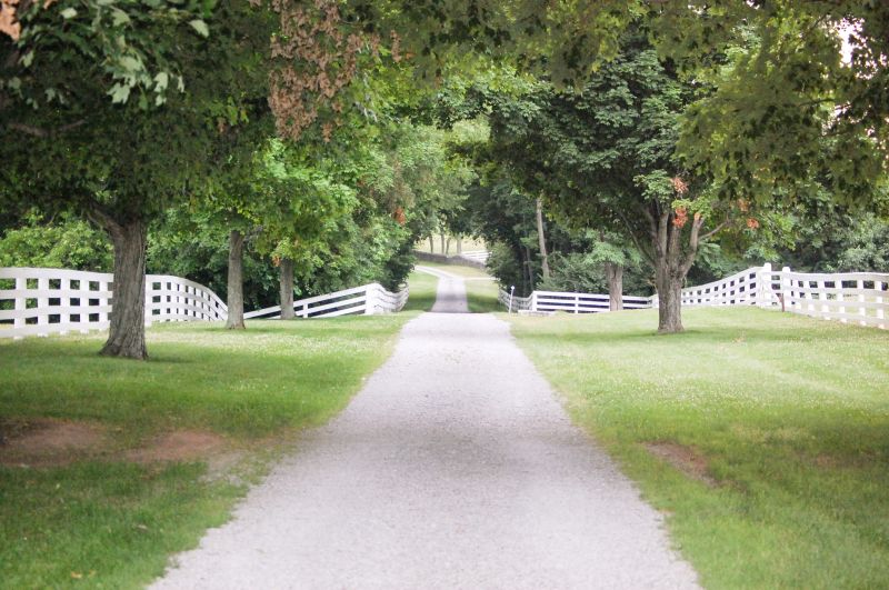 Driveway Gravel Spreading