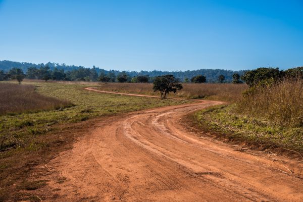 Dirt Driveway Repair Service