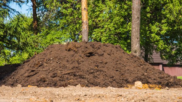 Dirt Installation in Gainesville