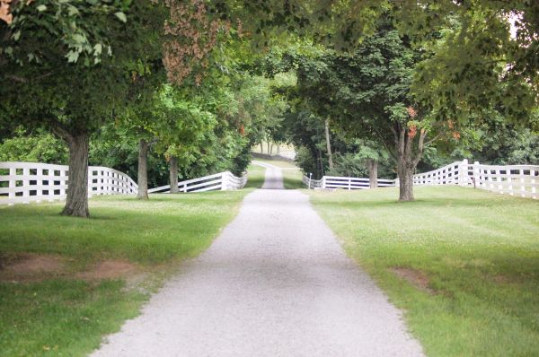 Gravel Driveway Construction in Gainesville