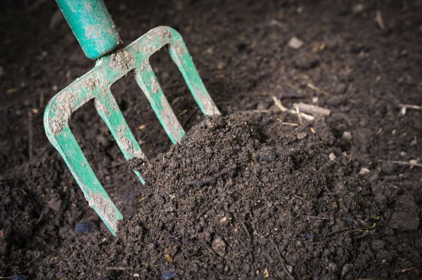 Topsoil Spreading in Gainesville