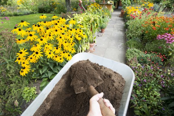 Soil Spreading in Gainesville