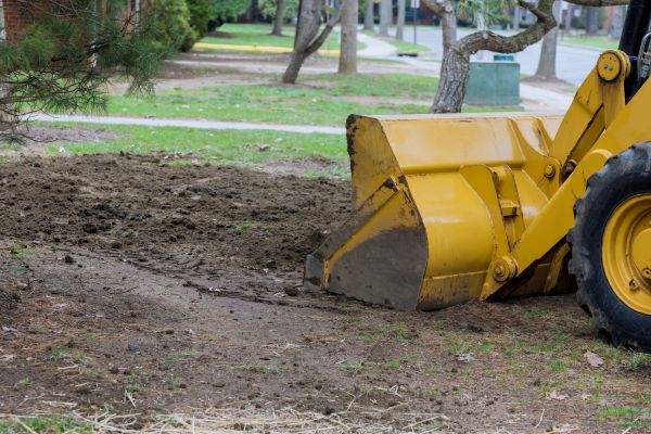 Cost of Lawn Leveling in Gainesville